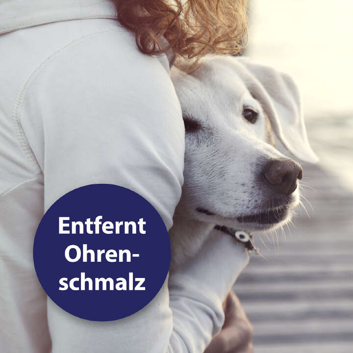 Canosept Ohrpflege Finger-Pads für Hunde